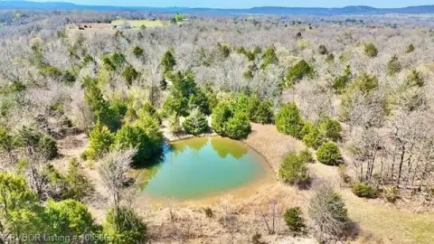 Recreational Hunting Land with Pond