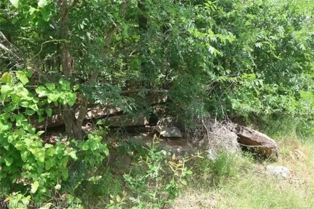 Picture 4