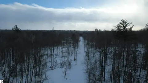 46 Acres Timbered Land, Alger