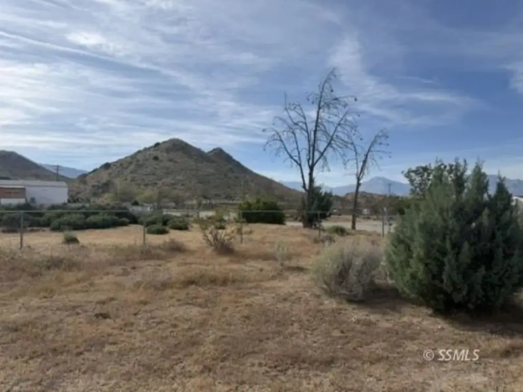 Picture 4