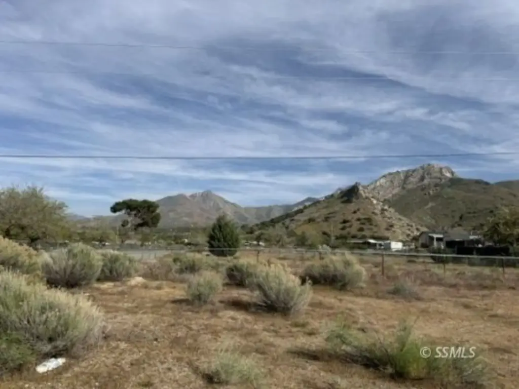 Picture 5
