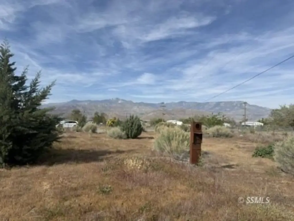 Picture 6