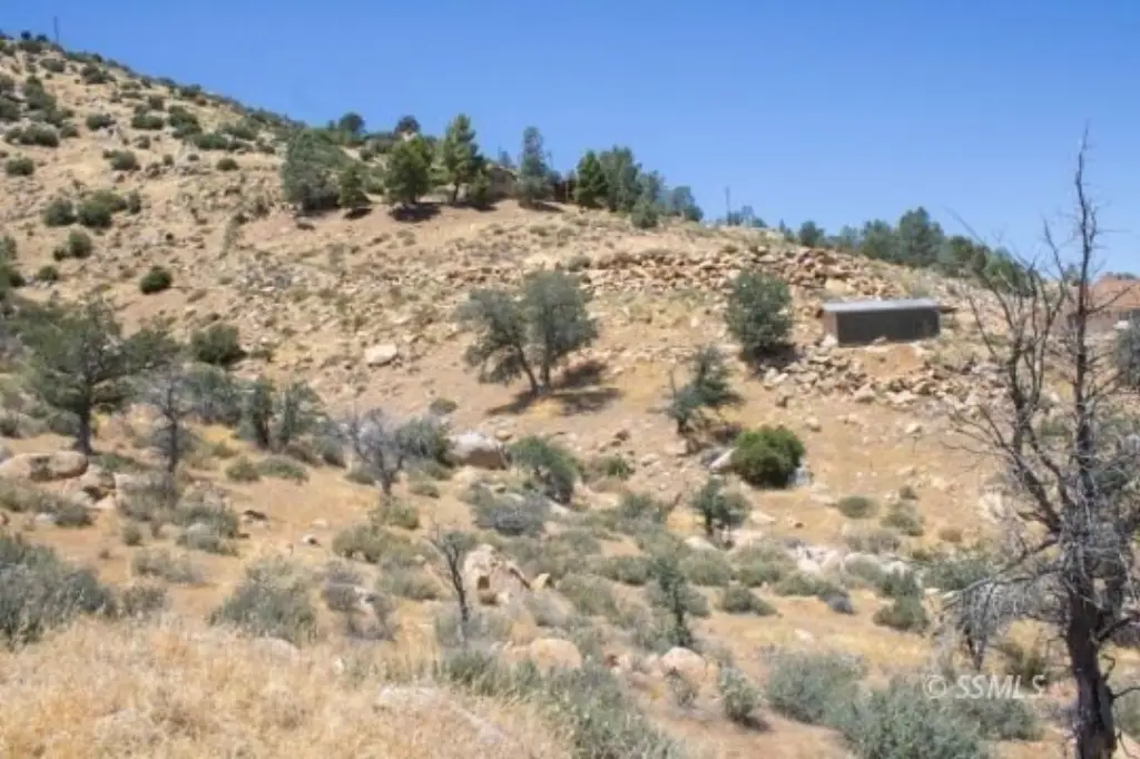 Picture 5