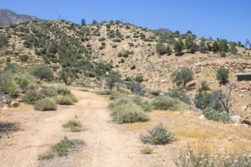 Picture 8