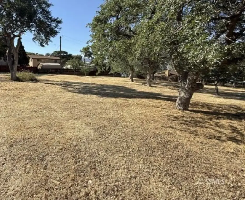 Picture 23
