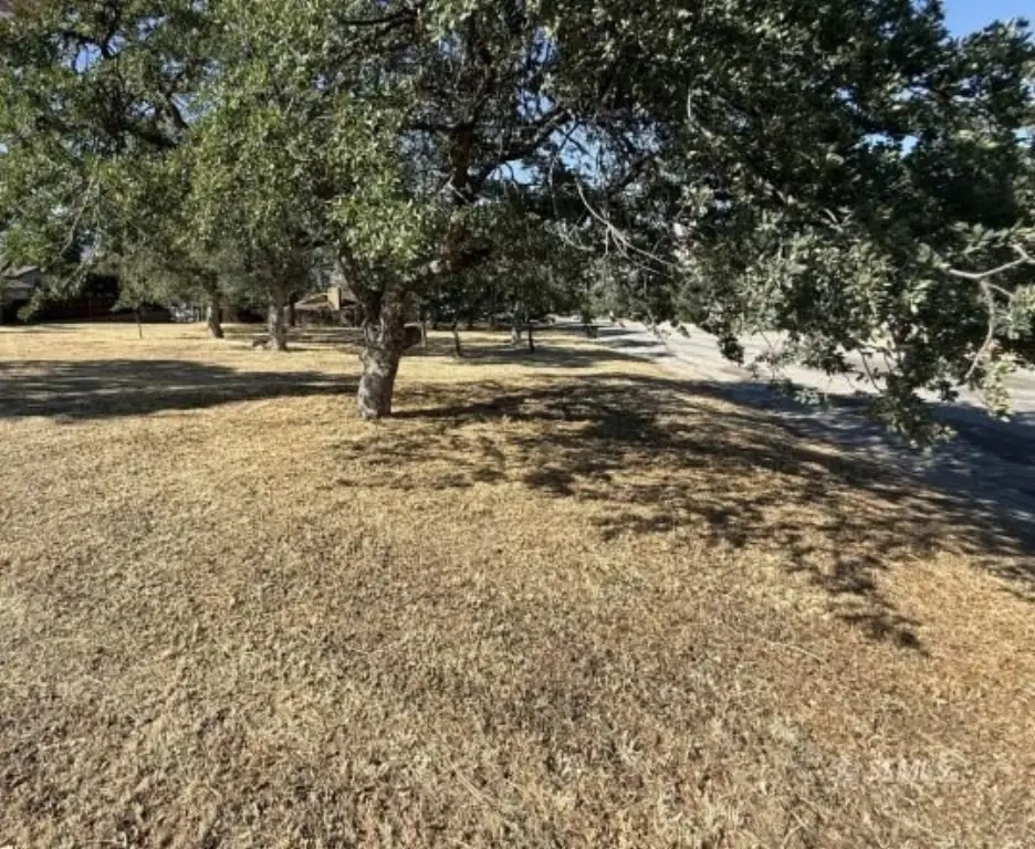 Picture 22