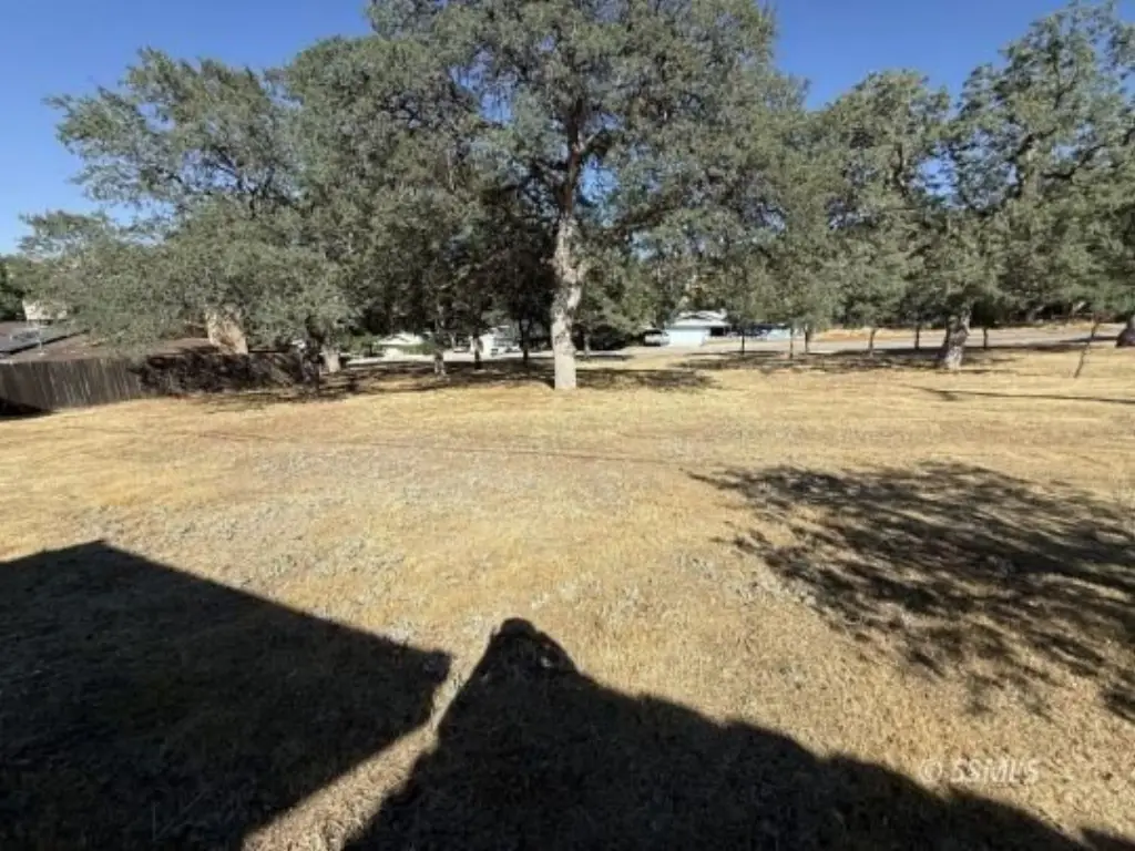 Picture 14