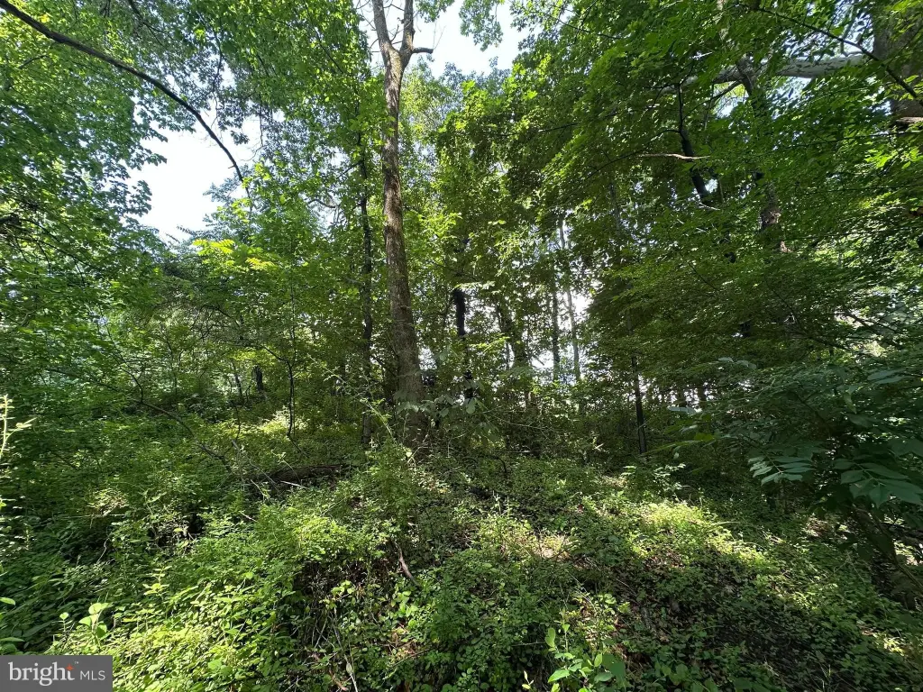 Picture 16