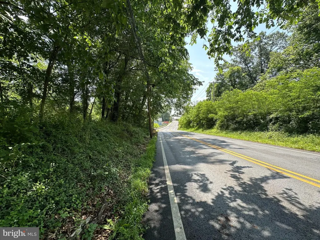 Picture 13