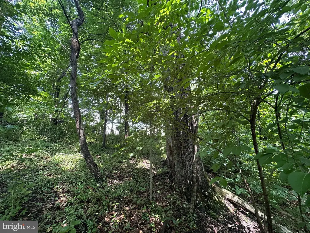 Picture 17
