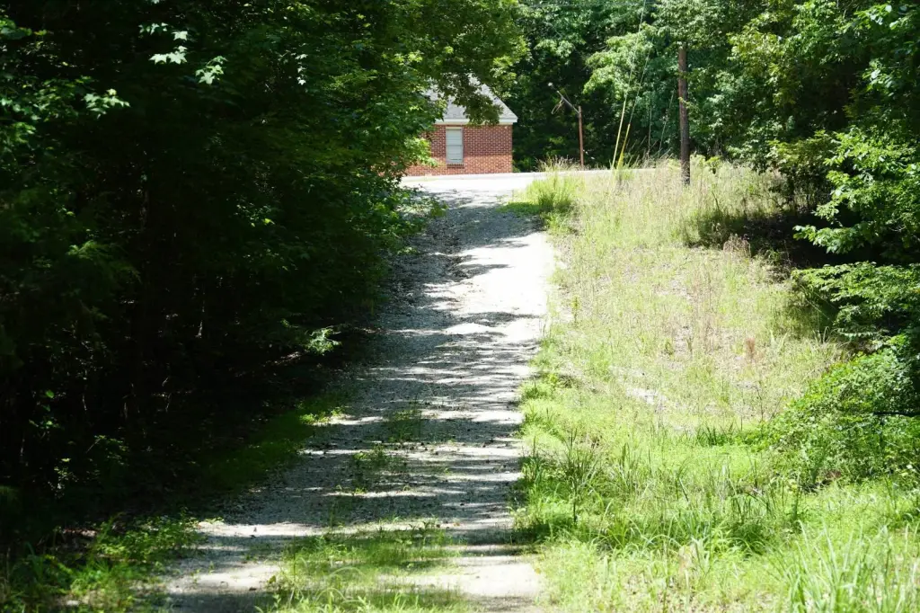 Picture 7