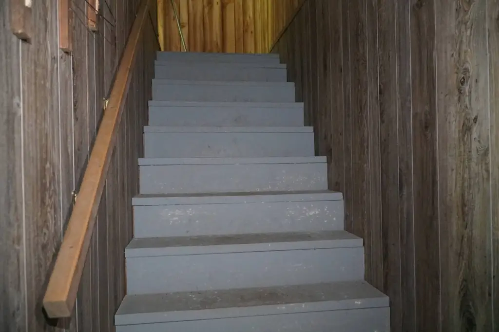 Picture 12