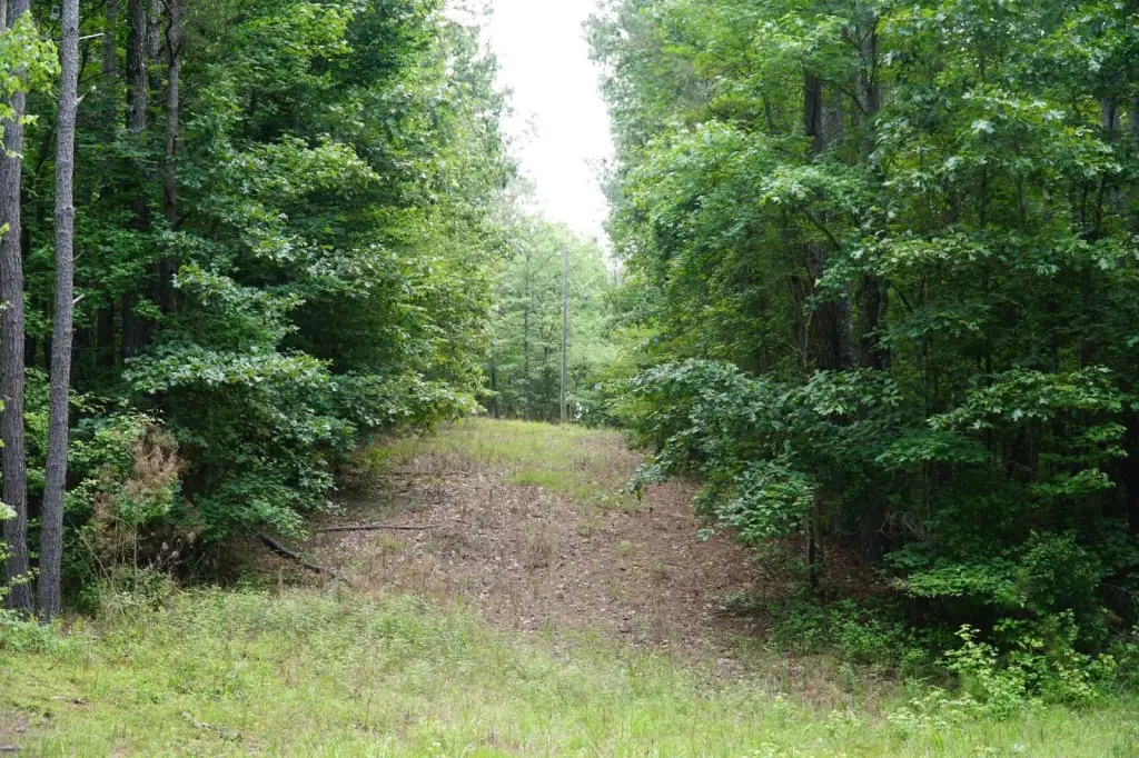 Picture 45