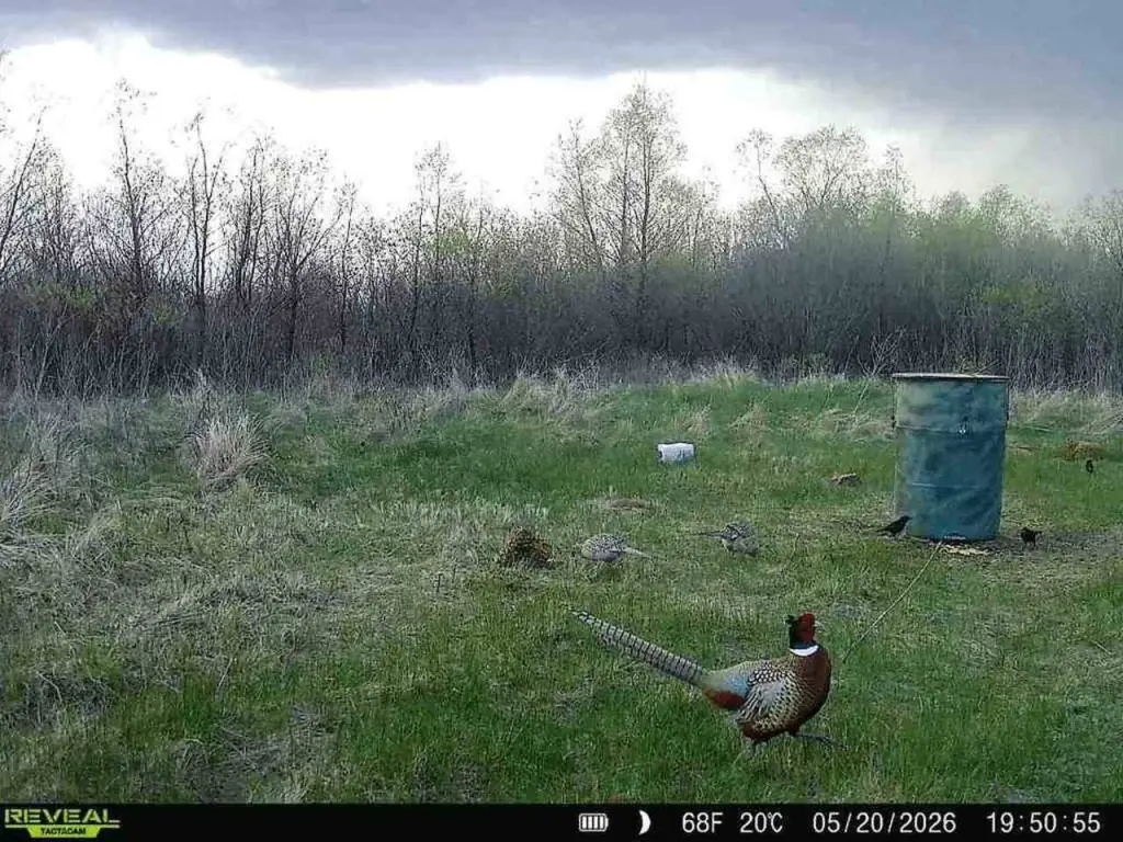Picture 72