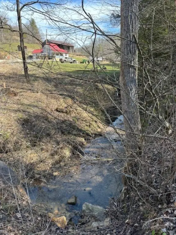 Picture 39