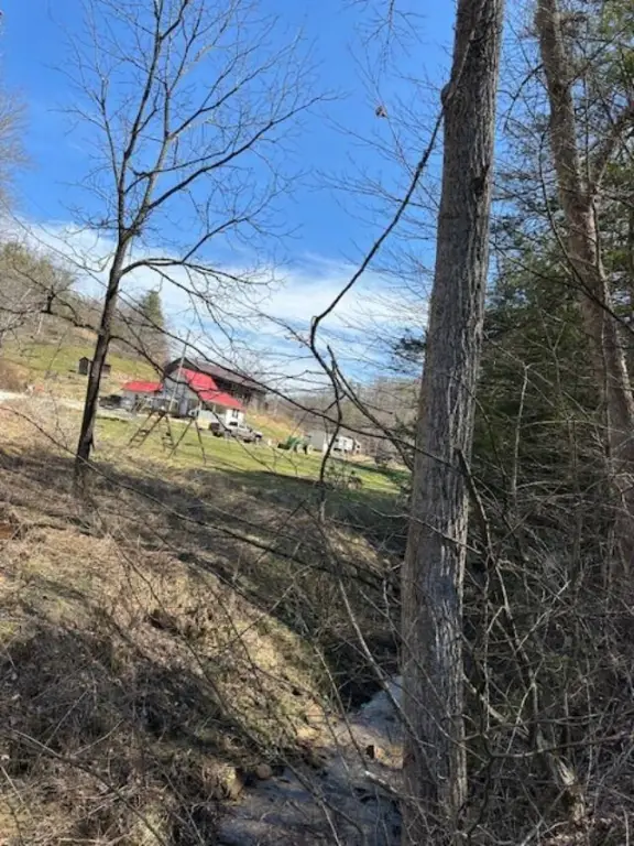 Picture 38