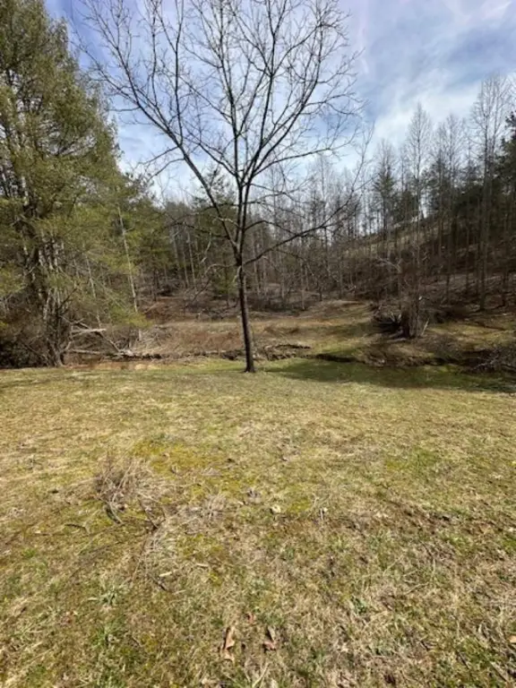 Picture 26