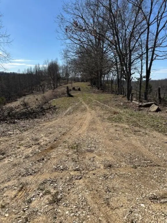 Picture 48
