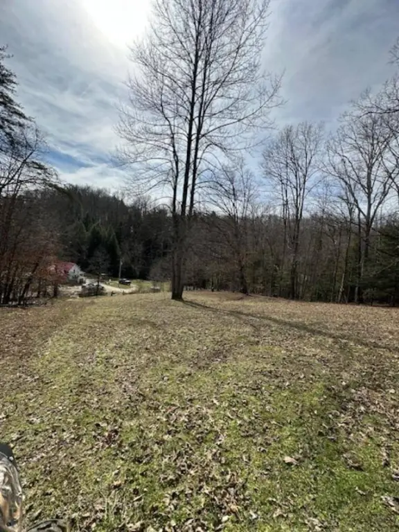 Picture 27