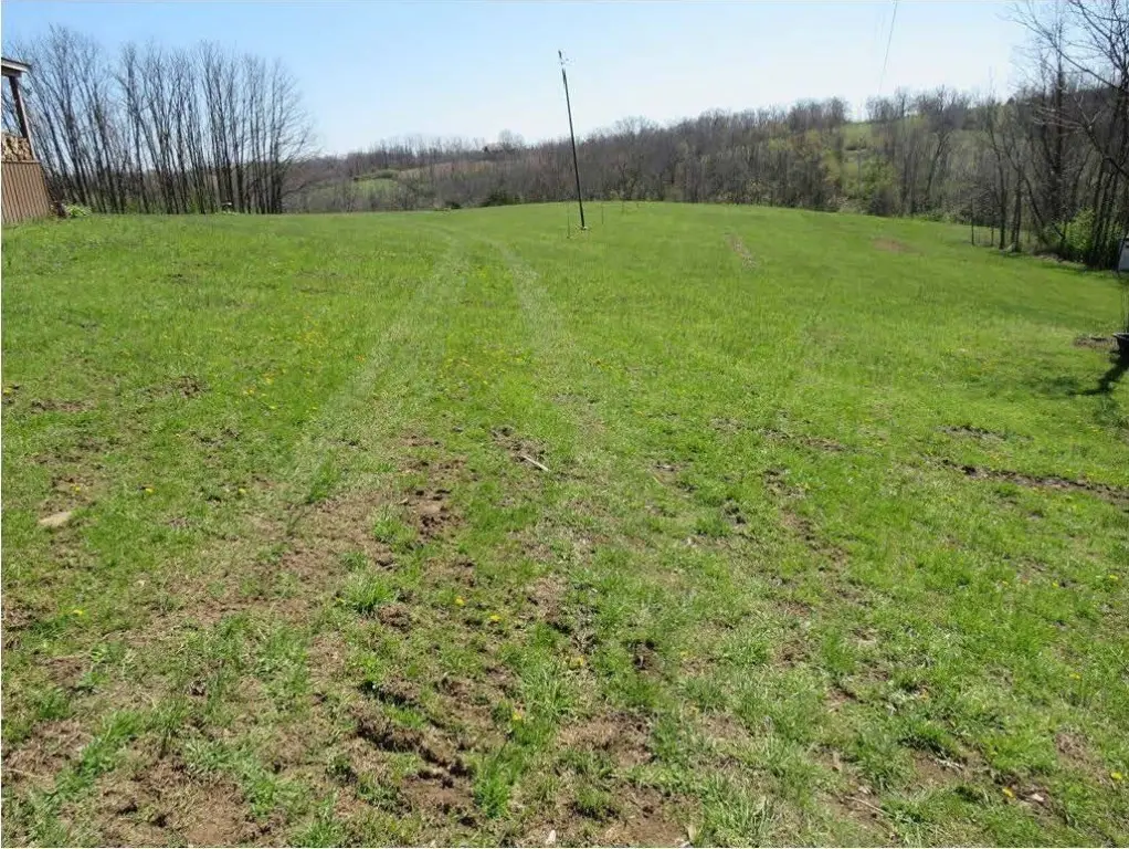Picture 14