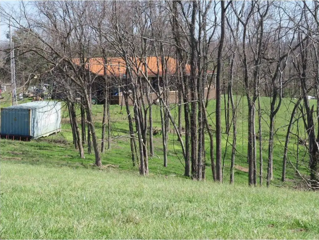 Picture 11