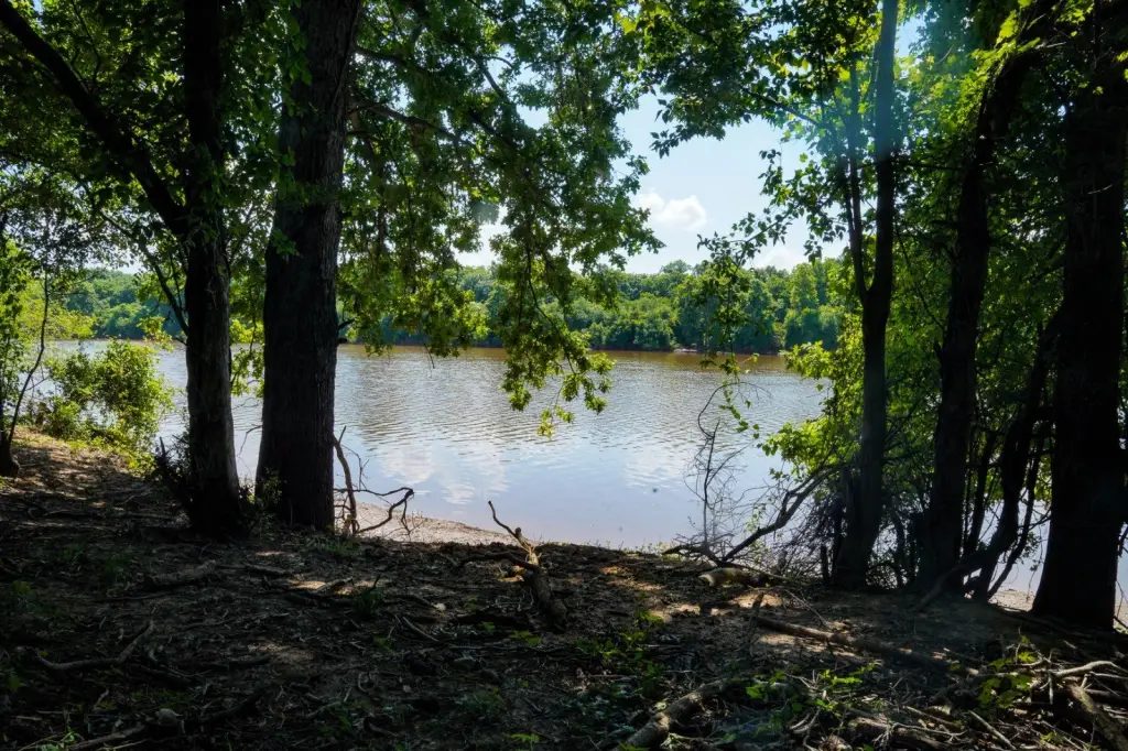 Picture 11