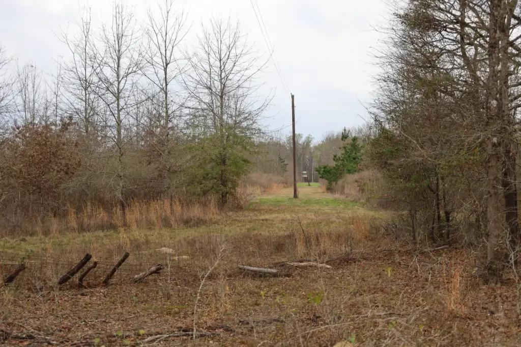Picture 4