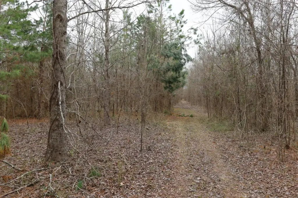 Picture 11
