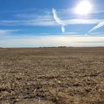 Oshkosh Farmland with Lease