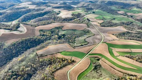 Diversified Land Offering in Cledonia, MN