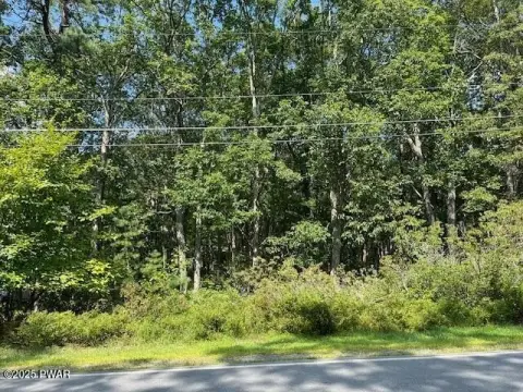 Buildable Lot in Hemlock Farms