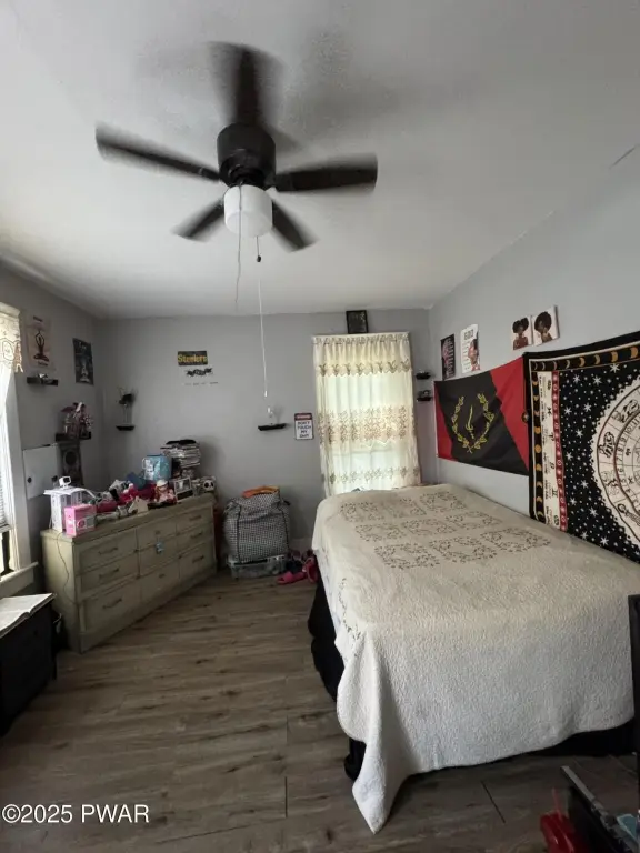Picture 15