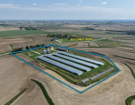 Poultry Production Farm with Infrastructure