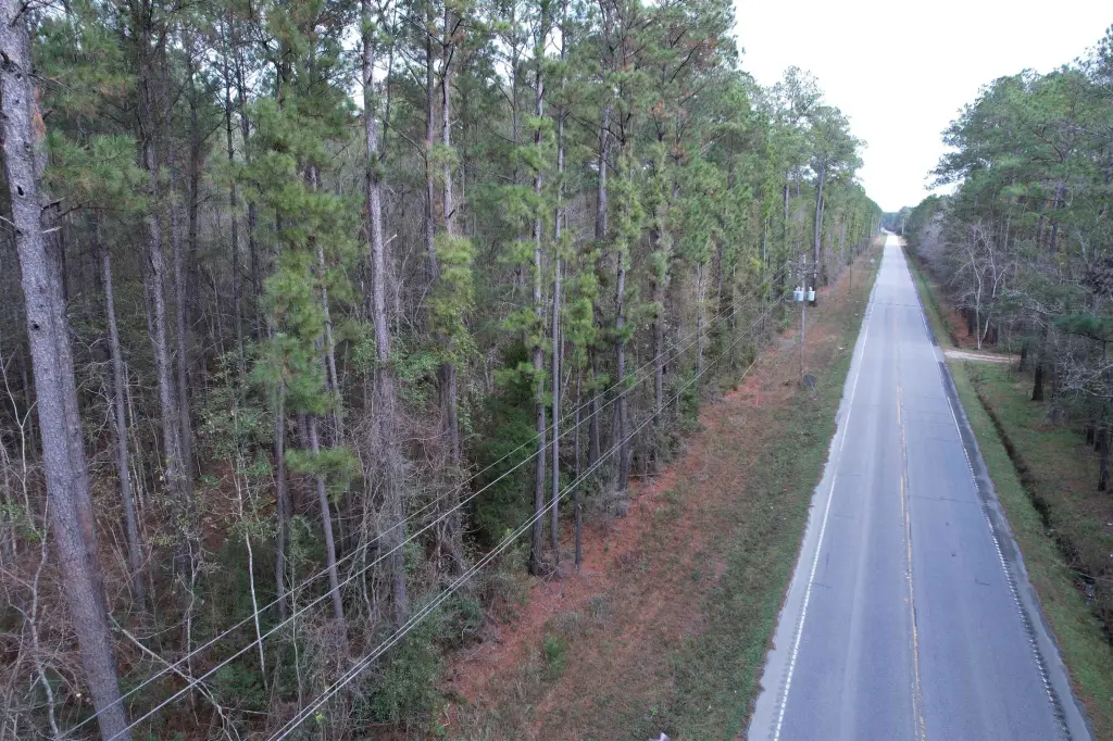 Picture 17
