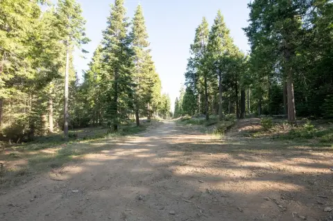 Shaver Lake Acreage for Development