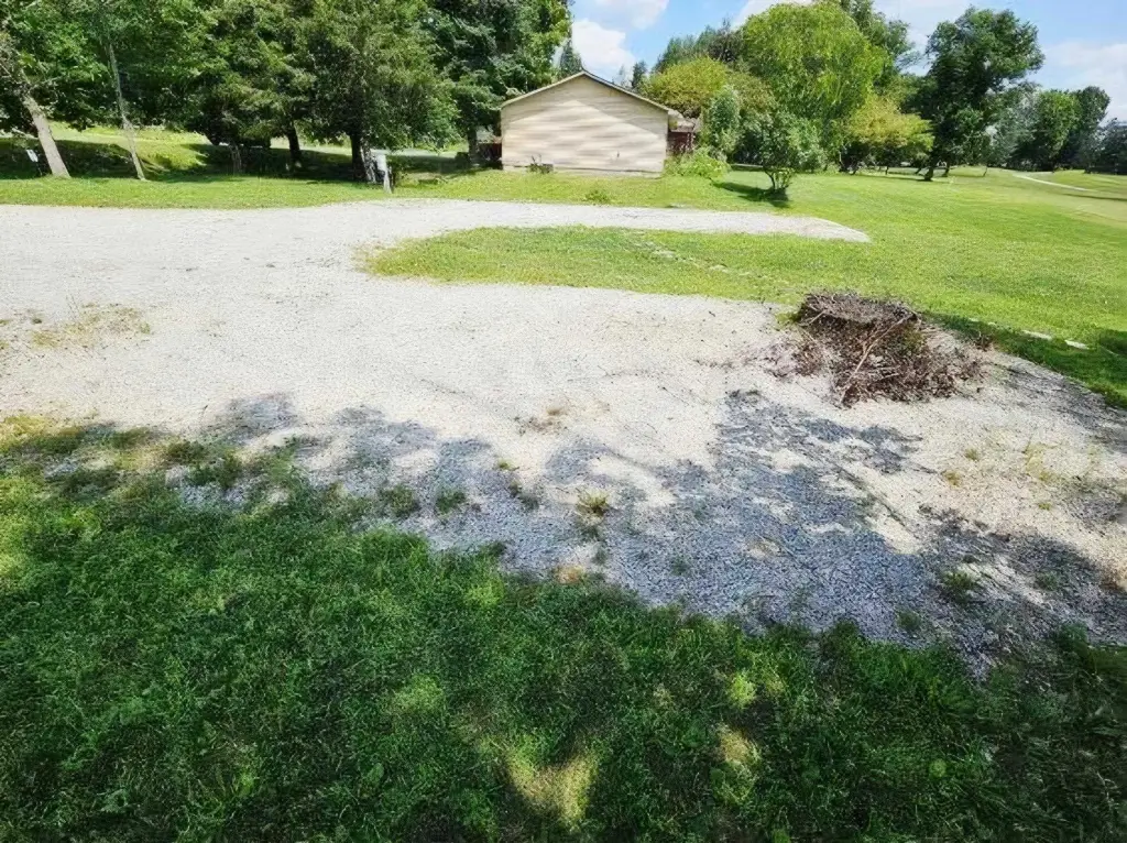 Picture 9
