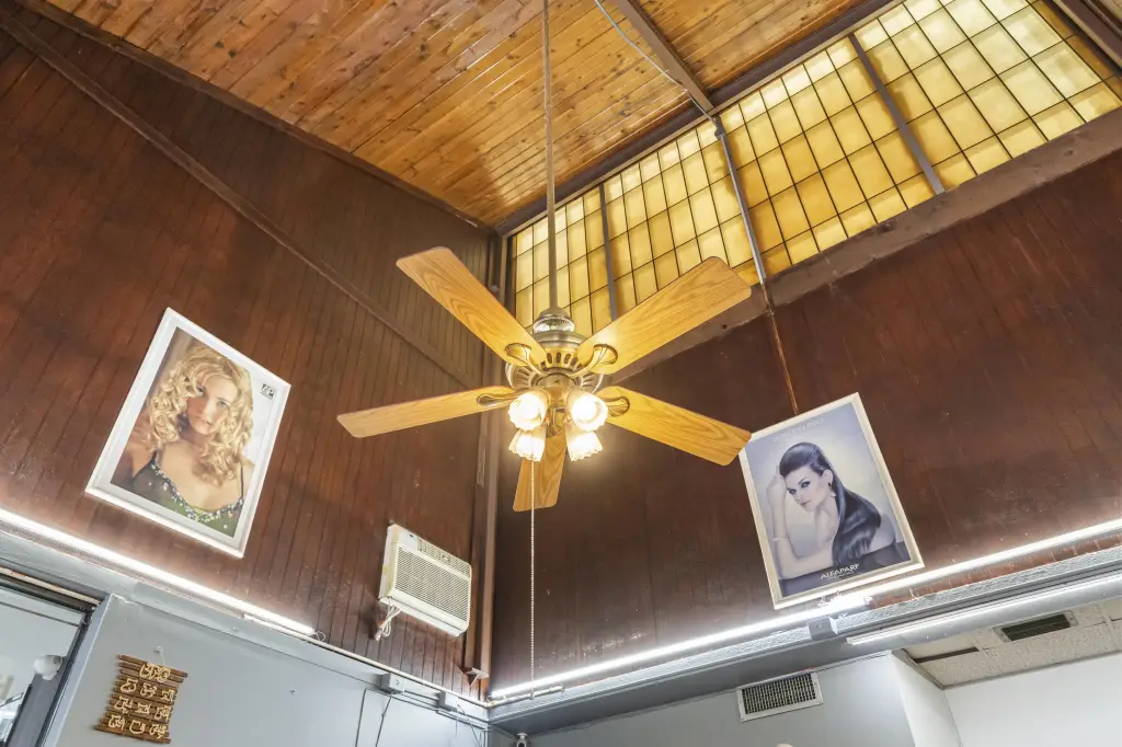 Picture 16