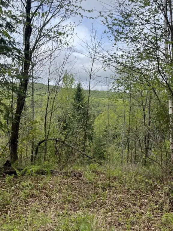 Picture 36