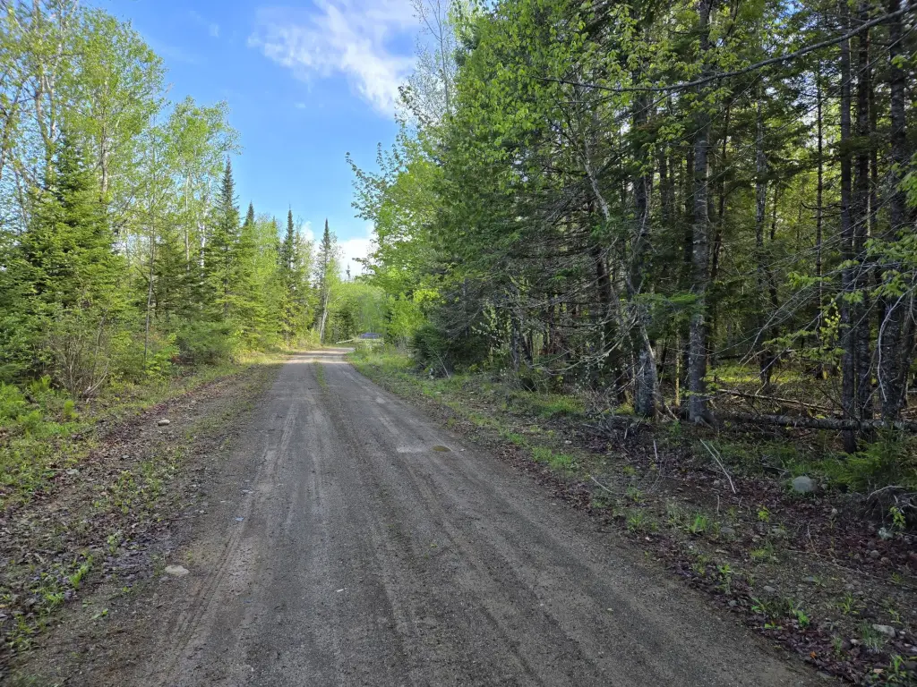 Picture 16
