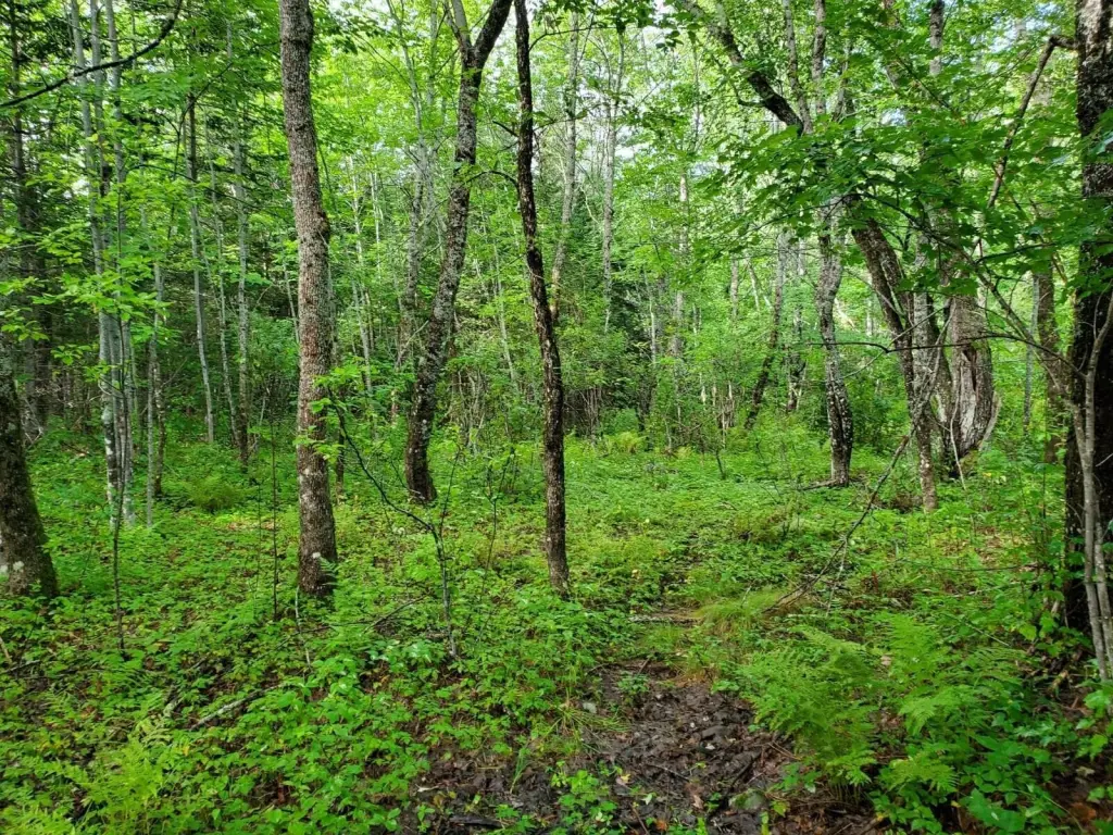 Picture 8