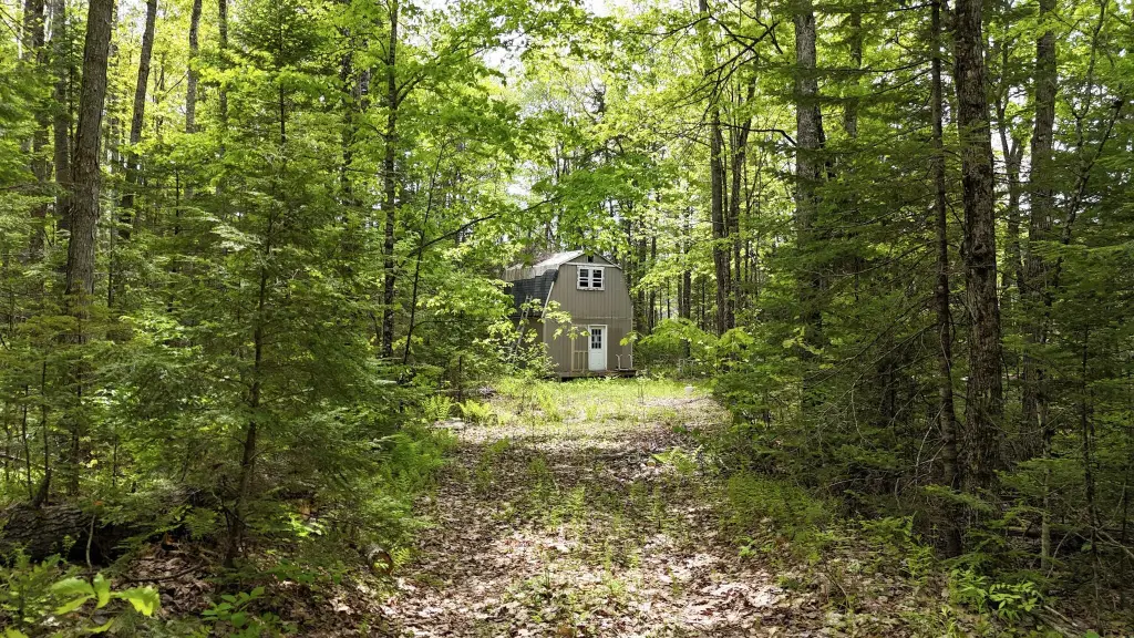 Picture 6