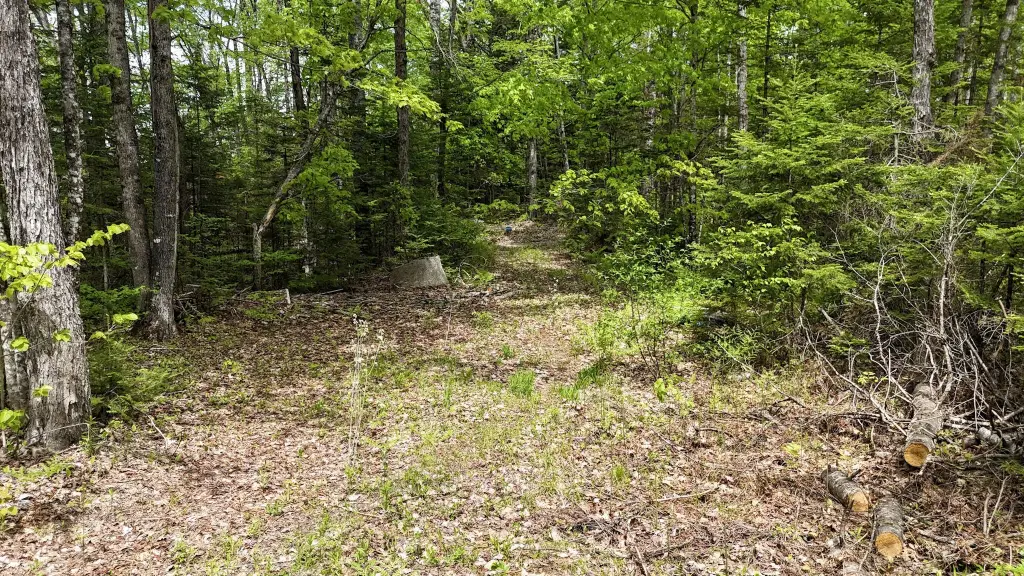 Picture 8