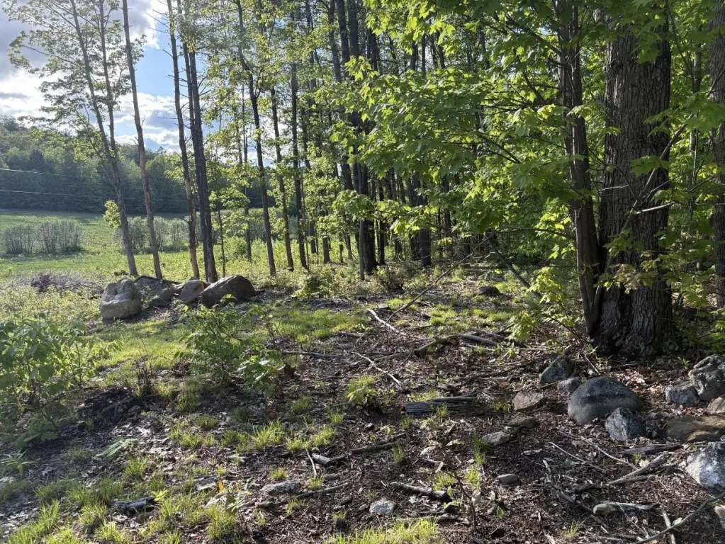 Picture 23
