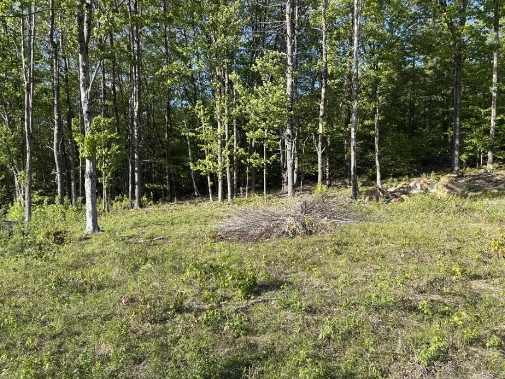 Picture 25