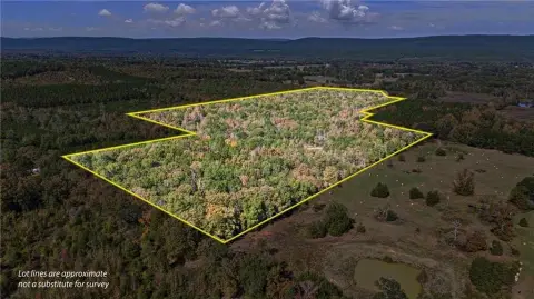 53+ Acres in Bluffton