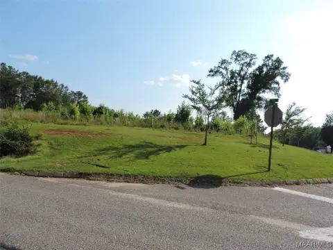 Land in Greenville, Alabama