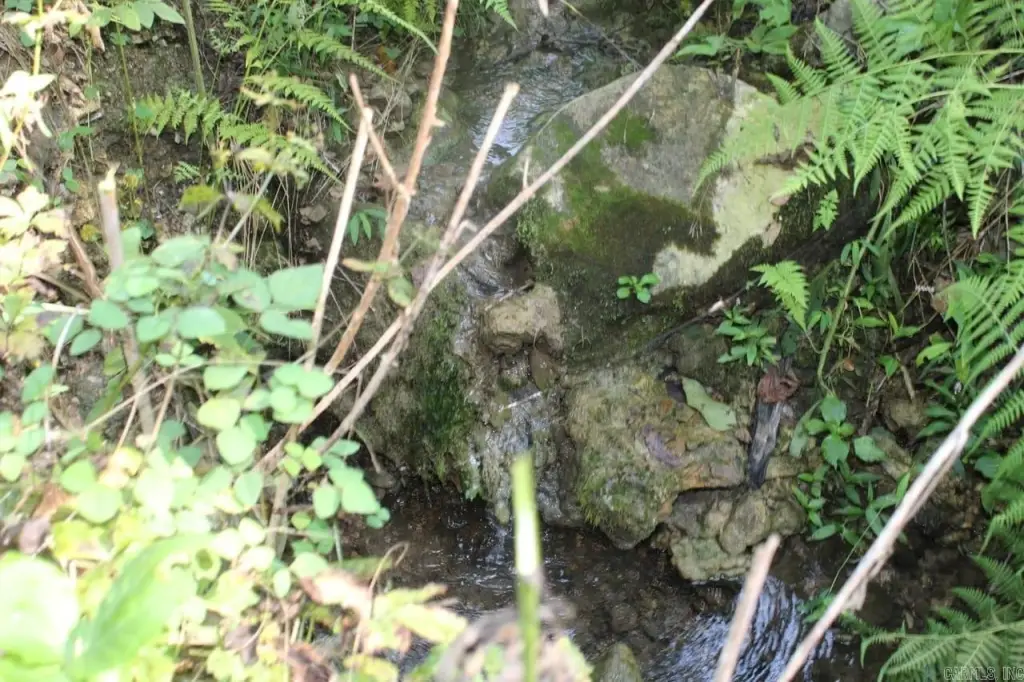 Picture 32