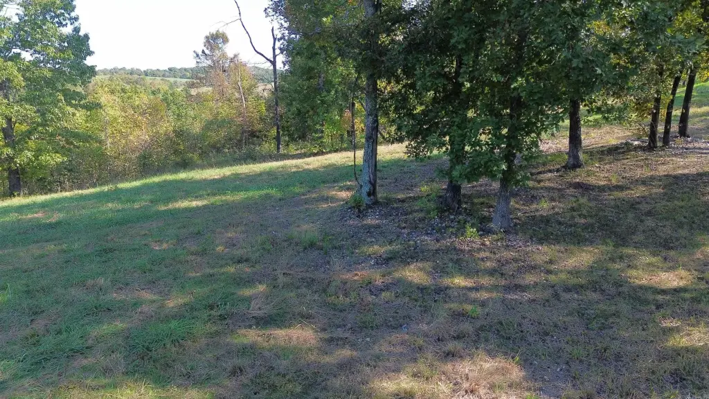 Picture 23