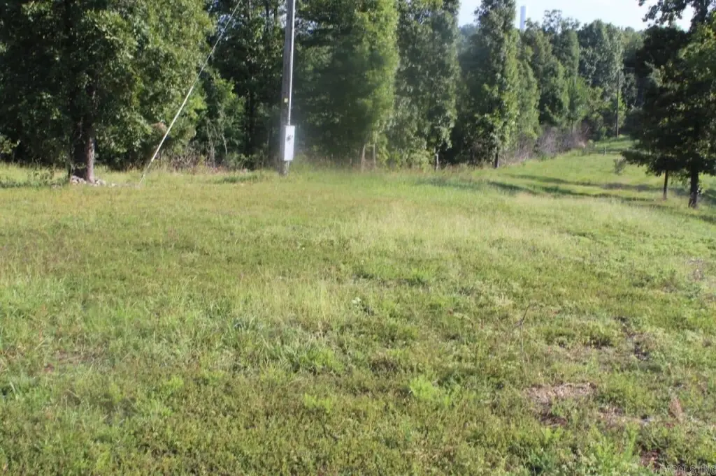 Picture 14