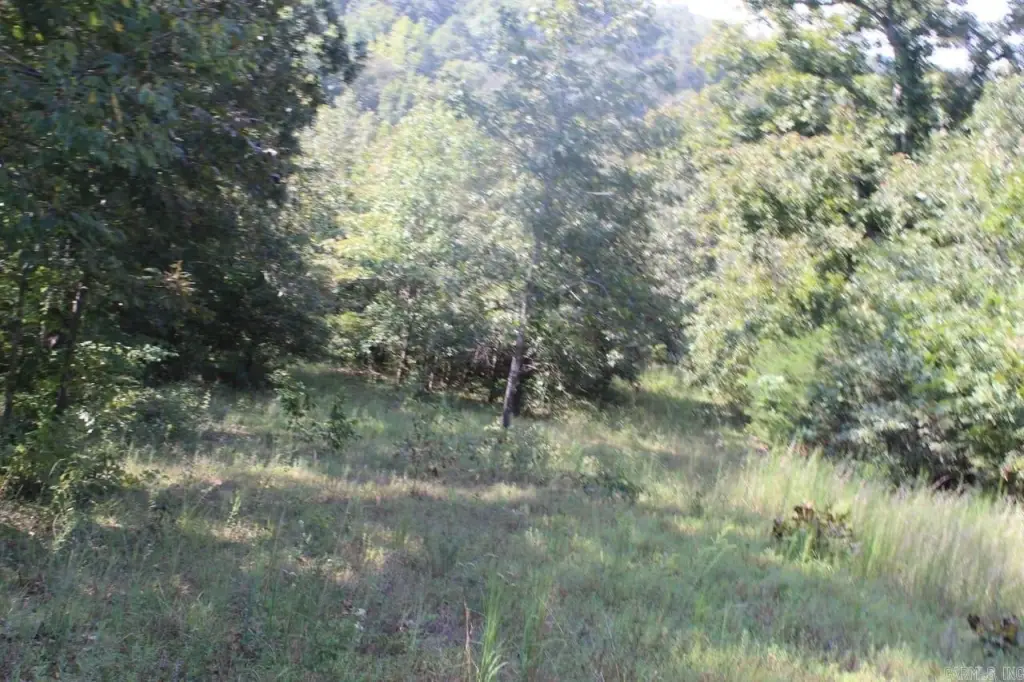 Picture 27